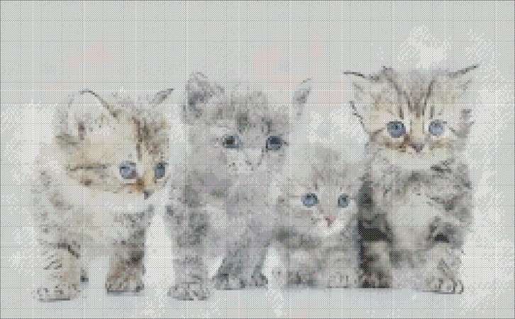 Kittens cross stitch pattern