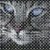 Cat cross-stitch embroidery pattern