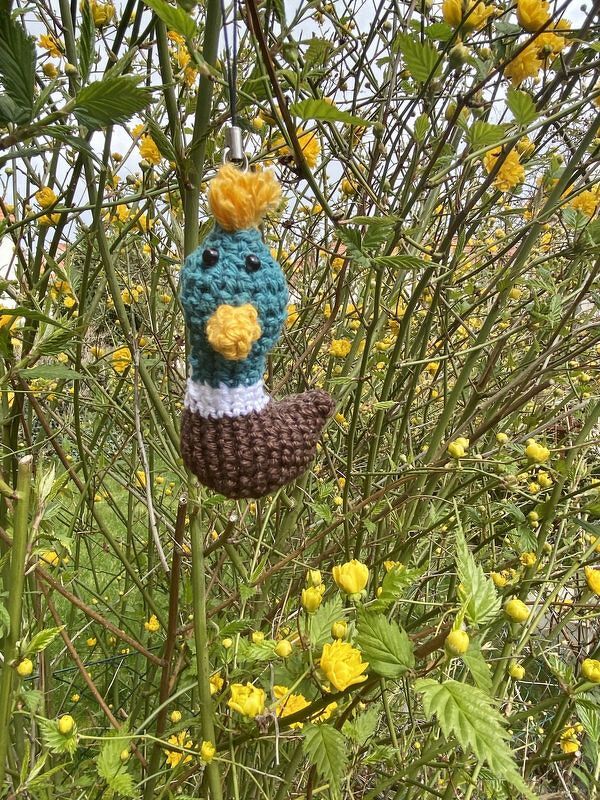 Ben the Duck - Image 2