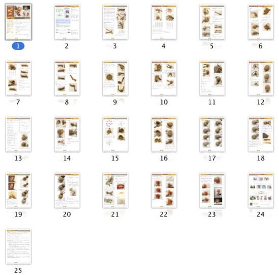 084NLY Baby aapje - Amigurumi Haak Patroon PDF file by Pertseva CP