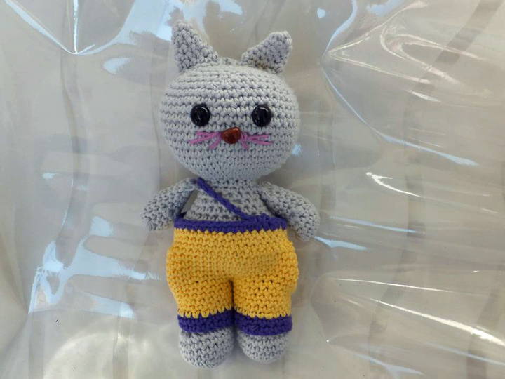 Schmusekatze mit Kleidung