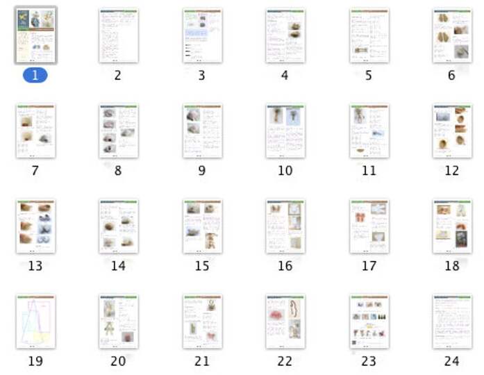 058NLY Opa Feodor en alien Picolumb - Amigurumi Haak Patroon - PDF by Astashova CP