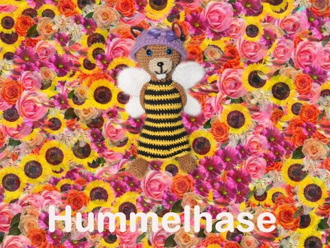 Hummelhase