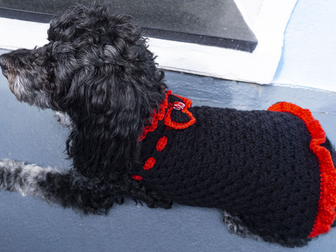 Häkelanleitung für das Hundekleid "Chic"