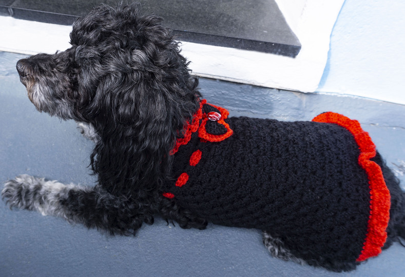 Häkelanleitung für das Hundekleid "Chic"