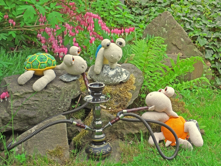 Häkelanleitung Schildkröte Turtle Amigurumi Öte Anleitung häkeln