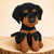 Häkelanleitung für einen sitzenden Rottweiler als Amigurumi