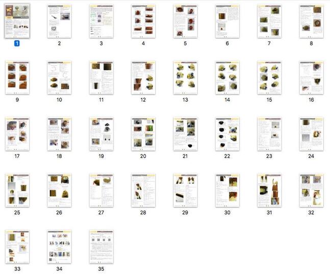 106NLY Haak Patroon Shih Tzu puppy - PDF file Amigurumi by Chirkova CP