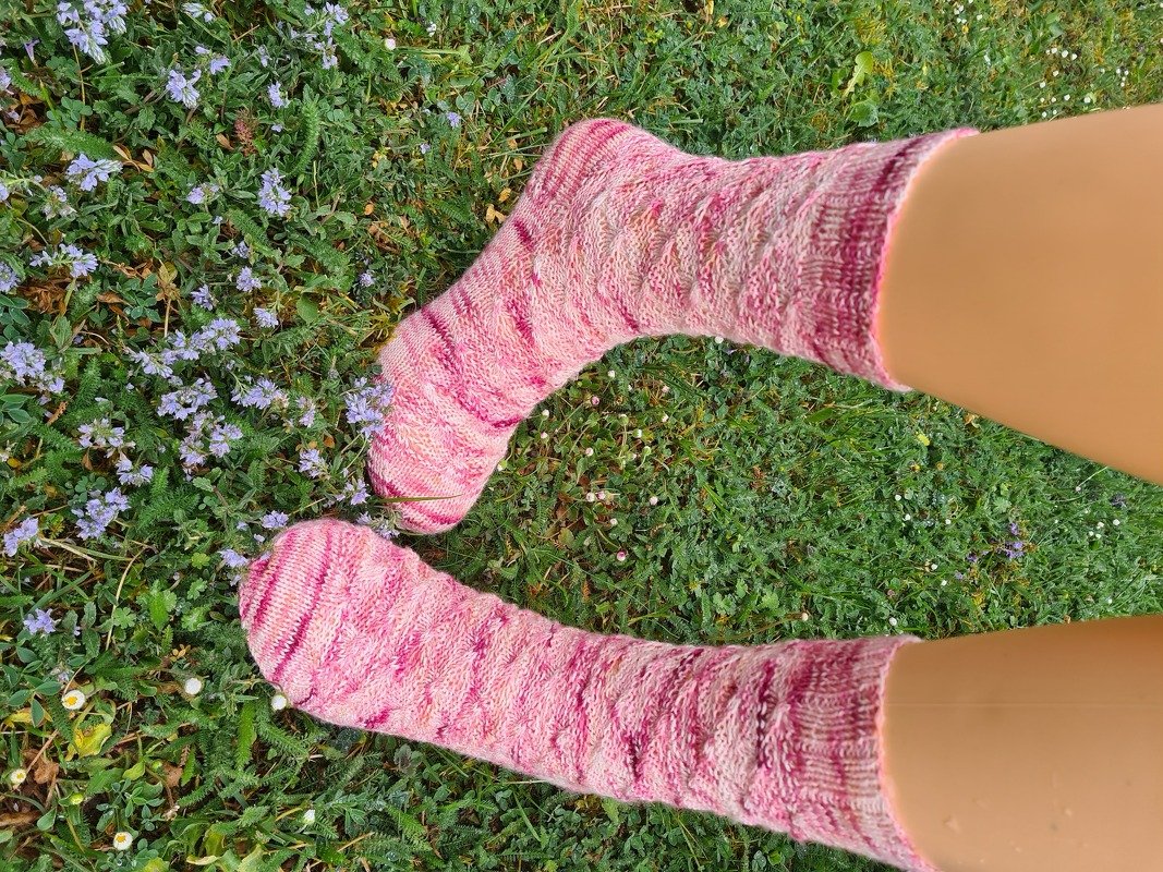 Sleeping Beauty Socks
