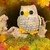 Crochet Pattern "Elli" The Googly-eyed Owl