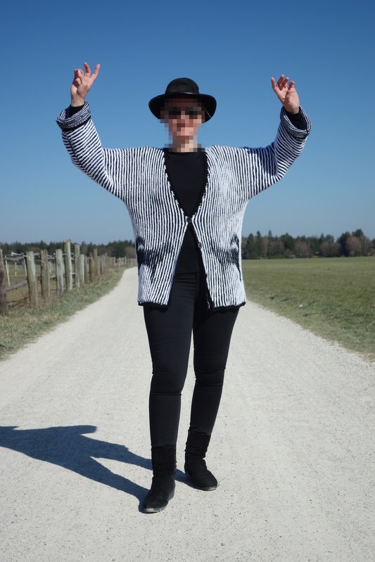 Huskyjacke Illusionsstricken - Bild 10