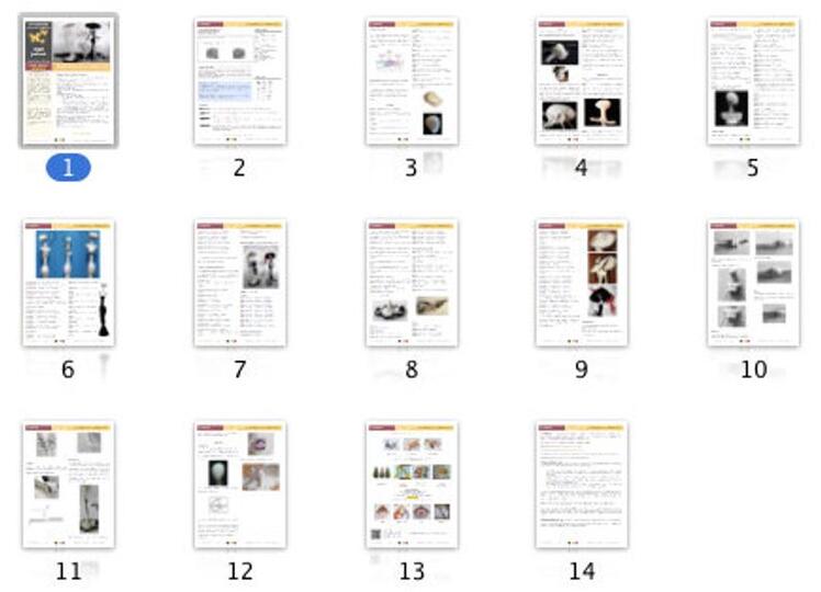 032NLY Beeldje Parijse dame (zonder hond) - Amigurumi Haakpatroon - PDF by Pertseva cp