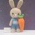 Bradley Bunny- Crochet Amigurumi Pattern- English
