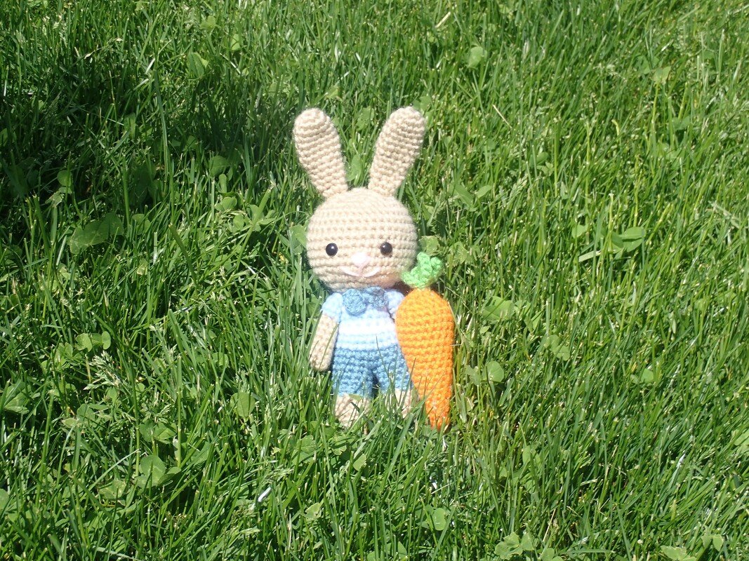 Bradley Bunny- Crochet Amigurumi Pattern- English - Image 2