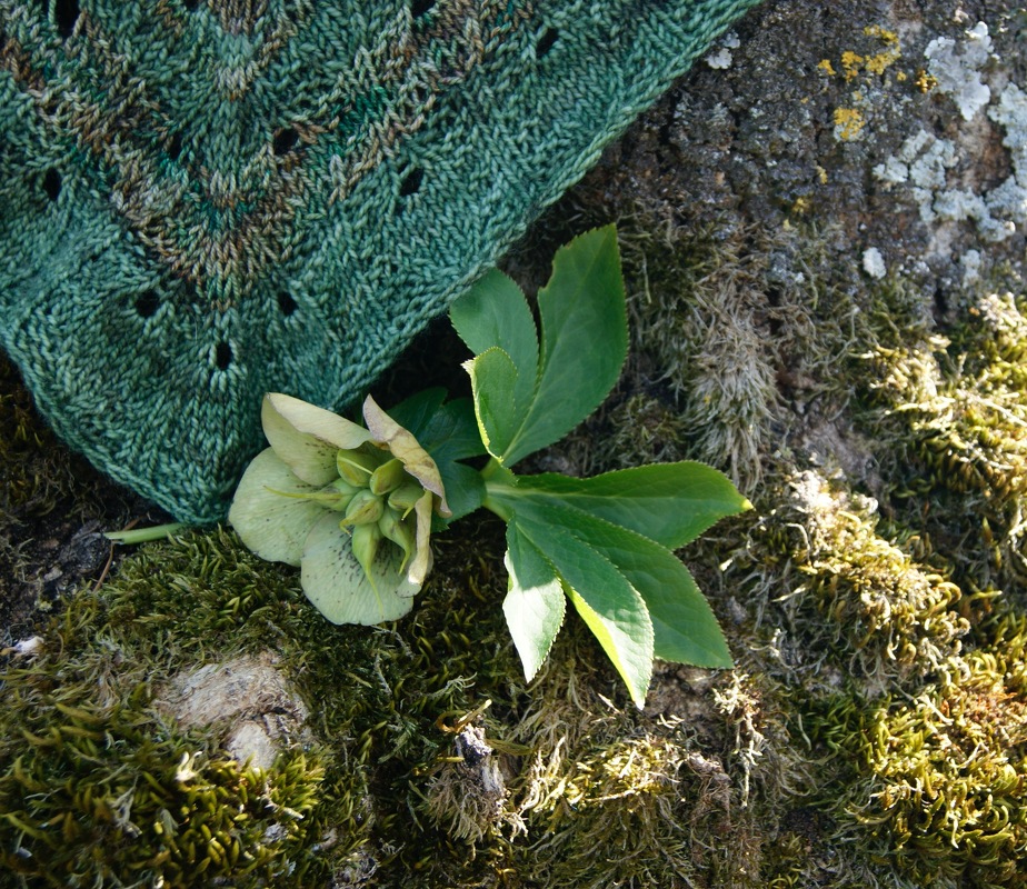 Anleitung Helleborus Tuch - Bild 2