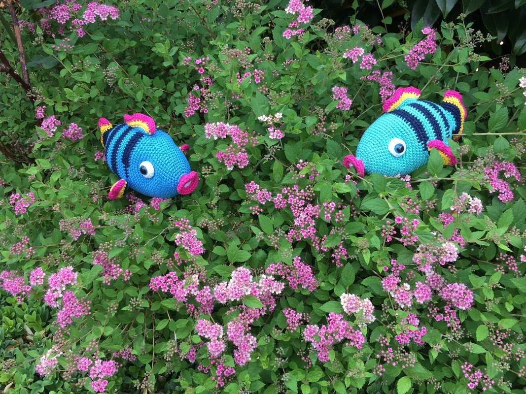Häkelanleitung Chris der Fisch - Bild 6