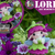 Lorea the flower mini fairy (2020) Crochet Pattern