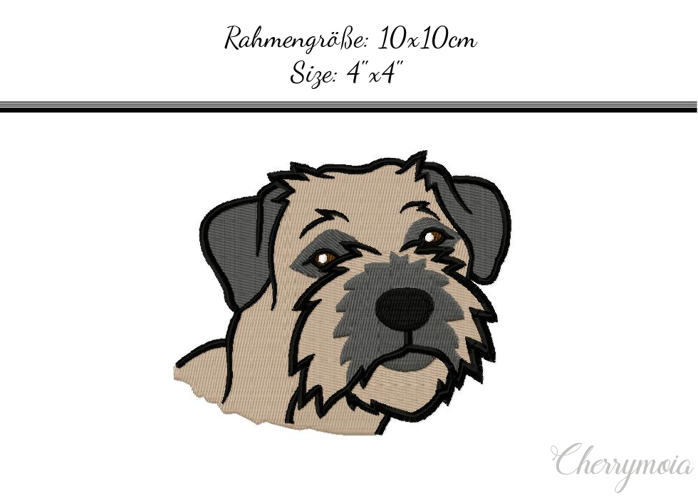 Border Terrier 10x10