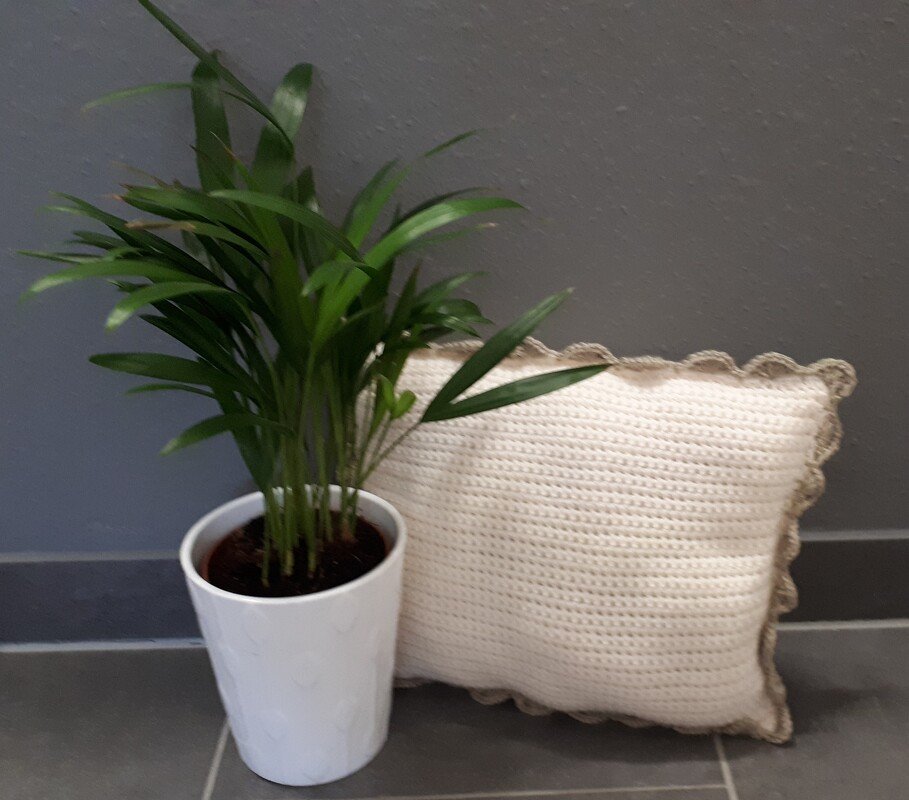 Schmusekissen " Simple"