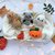 Crochet Amigurumi Pattern Volumetric Halloween Toys