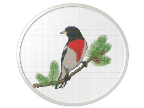 Bird cross stitch nature pattern for embroidery
