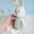 Crochet pattern Striped bunny amigurumi