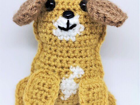 Anleitung Kuschler Havaneser Lina