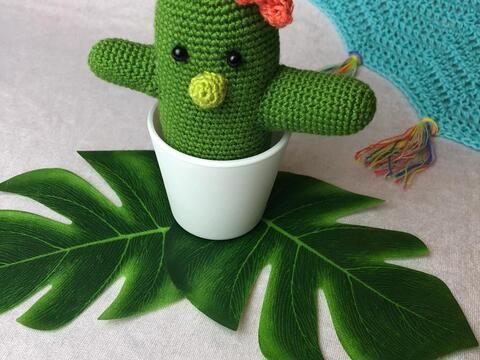 Anleitung Kaktus Linda