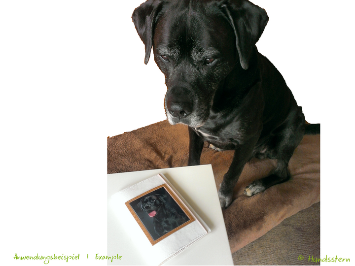 CARA Cover for EU Pet Passport sewing pattern for non-fraying fabrics