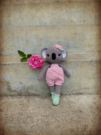 Monami Koala