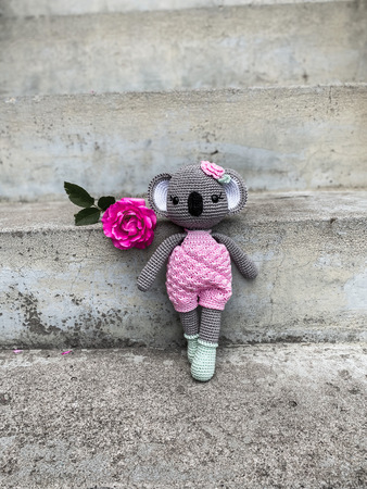 Monami Koala