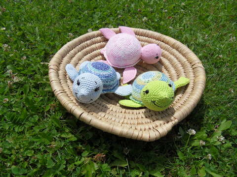 Anleitung Wasserschildkröte Raschel