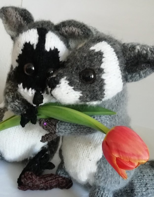 PDF-Strick Anleitung Waschbären "Bonny &amp;Clyde