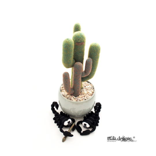 Kakteen mit kleinen Skorpionen