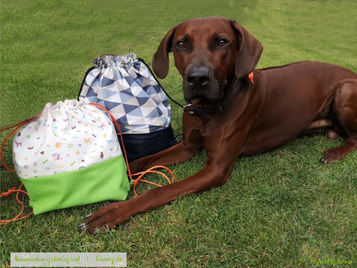 ALBY Beutelrucksack, gefüttert, 2 Größen. Nähanleitung+Schnitt