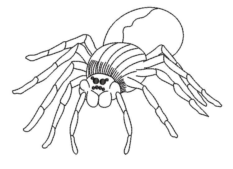 Stickdatei Spinne Redwork verschiedene Größen SET - Bild 4