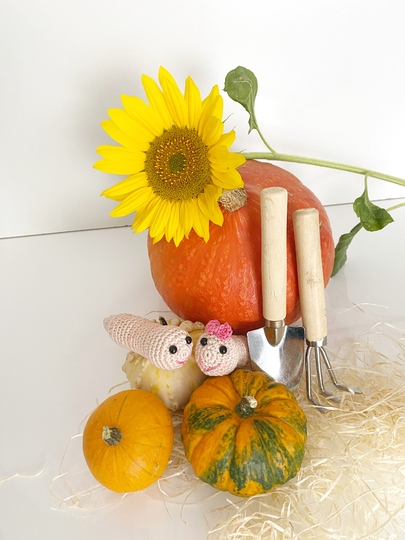 Eule Chapchi und Willi