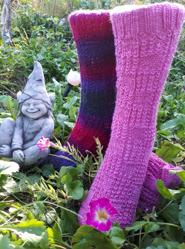 Zwei gestrickte Kniestrümpfe, rosa und mehrfarbig, im Gras neben einem lächelnden Gartenzwerg