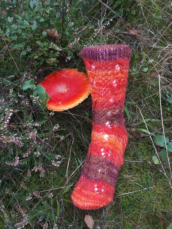 Handgestrickte Socke in Rot- und Brauntönen mit Lochmuster auf Moos neben rotem Pilzhut