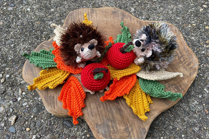 Igel Familie Häkelanleitung Amigurumi