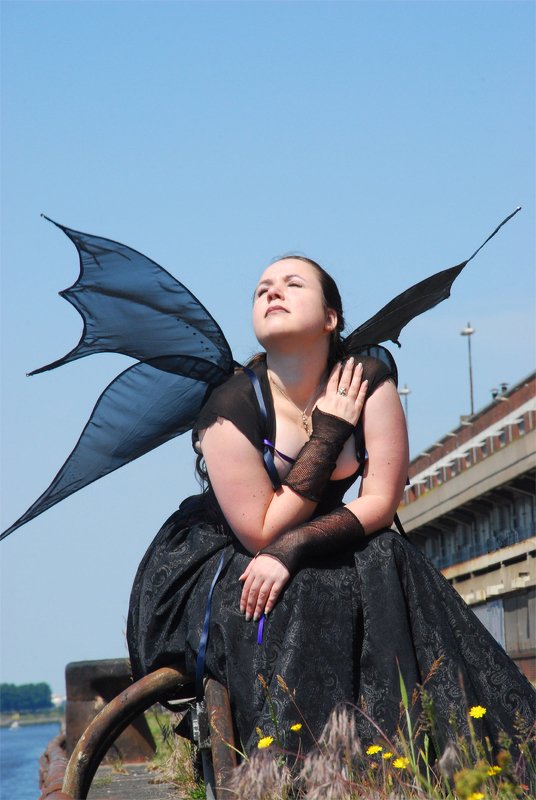 Anleitung Feenflügel aus Draht und Stoff - Bild 2