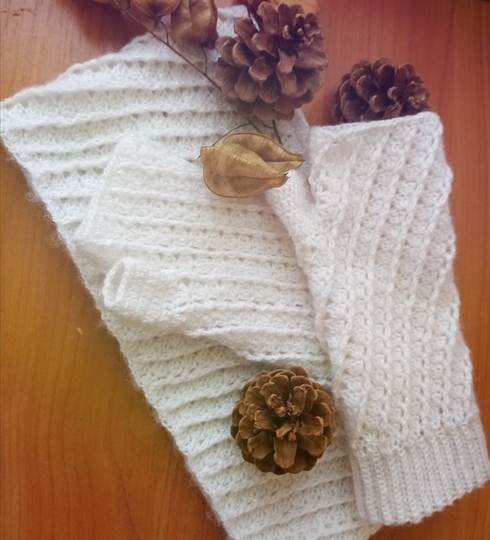 Fingerless Gloves and Infinity scarf. Crochet pattern