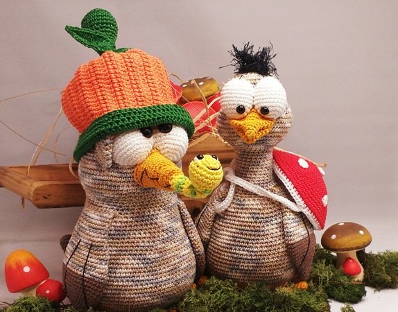 Crochet Pattern "EDD und FRED" The crazy Birds