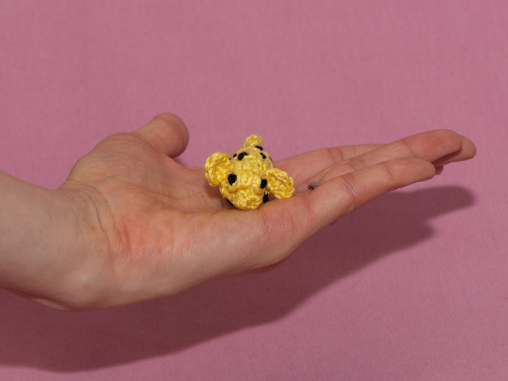 Amigurumi Anleitung für Otto den Kofferfisch