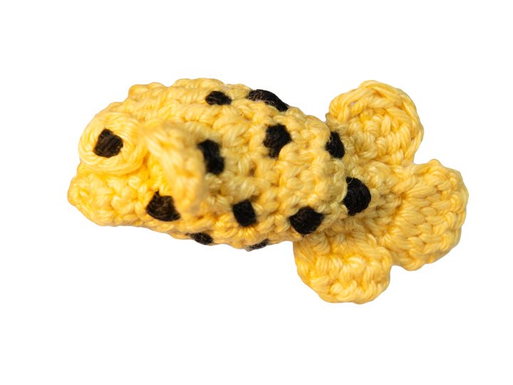 Amigurumi Anleitung für Otto den Kofferfisch