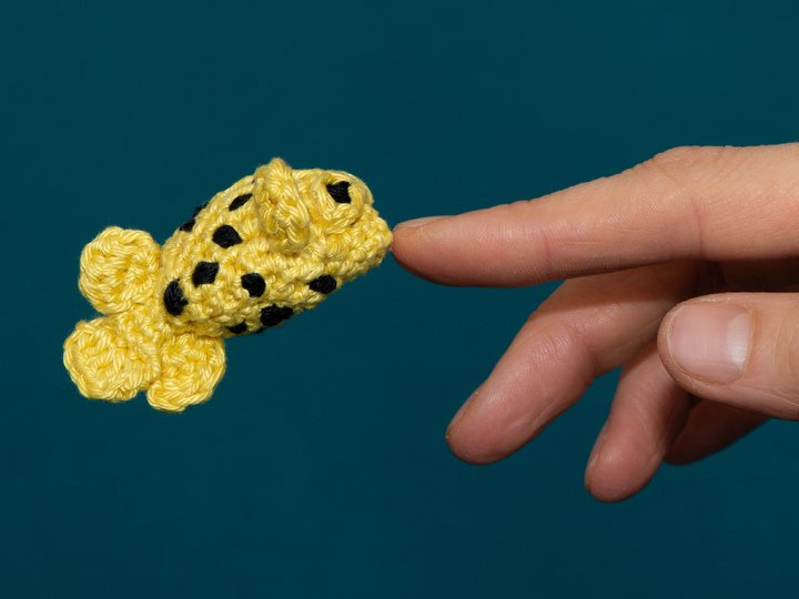 Amigurumi Anleitung für Otto den Kofferfisch