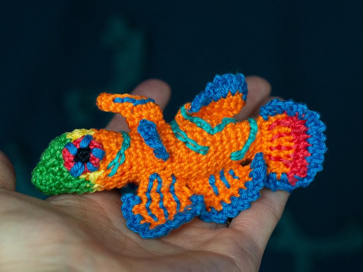 Amigurumi Anleitung für Mando den Mandarinfisch