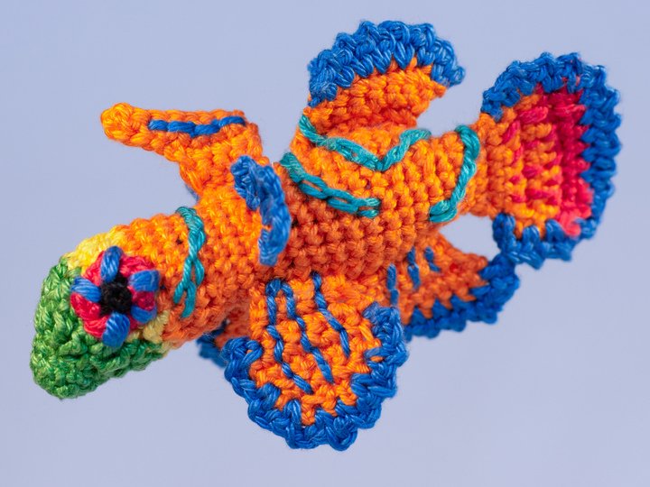 Amigurumi Anleitung für Mando den Mandarinfisch