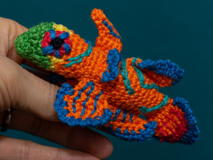 Amigurumi Anleitung für Mando den Mandarinfisch