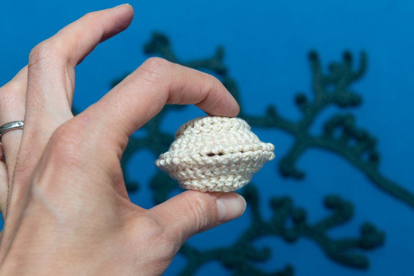 Amigurumi Anleitung für Muna die Muschel